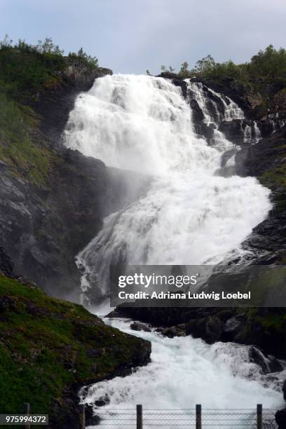 Shell Myrdal Myrdal Photos and Premium High Res Pictures - Getty Images