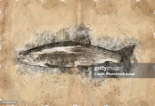 side view of a trout - sea trout stock pictures, royalty-free photos & images