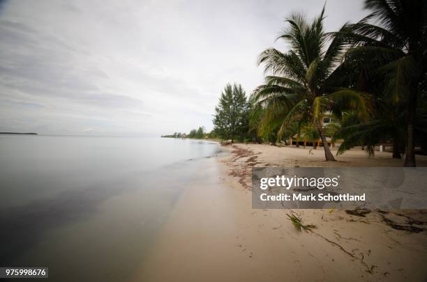 fleeting moments of paradise - schottland stock pictures, royalty-free photos & images