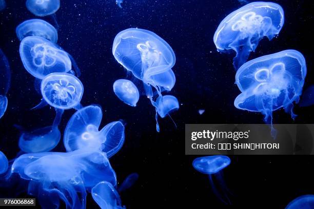 blue - 心 stockfoto's en -beelden