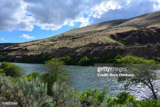 deschutes river - river deschutes stock pictures, royalty-free photos & images