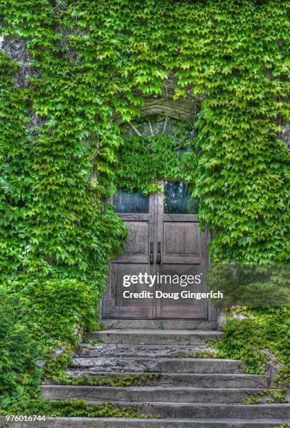 overgrown door, ivy house, casper, wyoming, usa - casper imagens e fotografias de stock