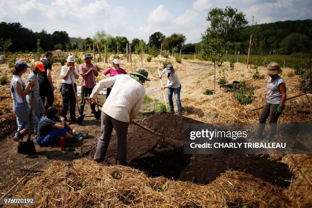 People work in the biological farm of the Bec-Hellouin on May 24, 2018 in Le Bec-Hellouin, northwestern France. - The Biological farm of the...