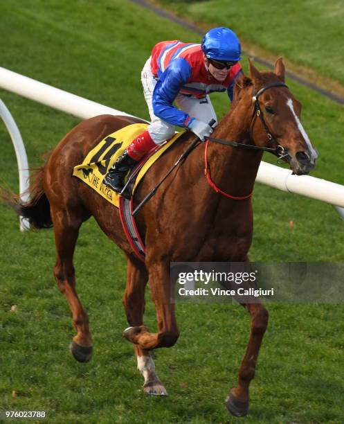 Craig Williams after riding Magic Consol to win Race 9 , Travis Harrison Cup during Melbourne racing at Moonee Valley Racecourse on June 16, 2018 in...