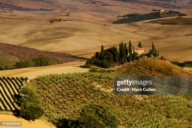 tuscan hills - mark cullen stockfoto's en -beelden