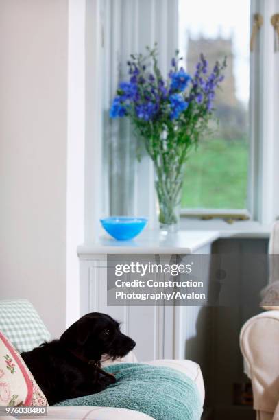 Flowers in a vase on the window board of a house with views of a village church UK.