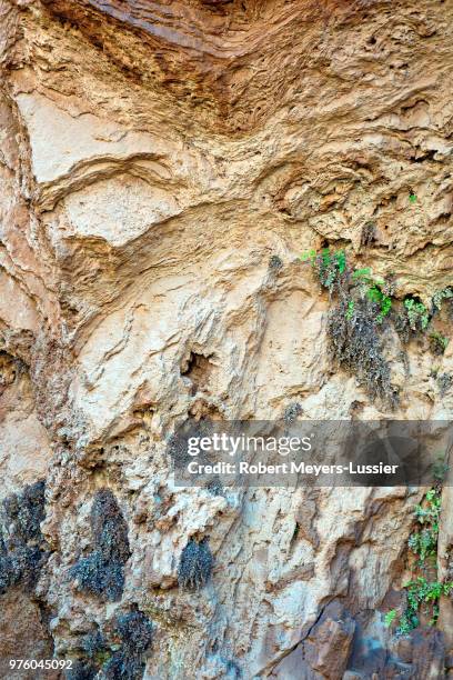 Rockwall Pattern 1,361 Rock Wall Pattern Stock Photos, High-Res Pictures, and Images ...