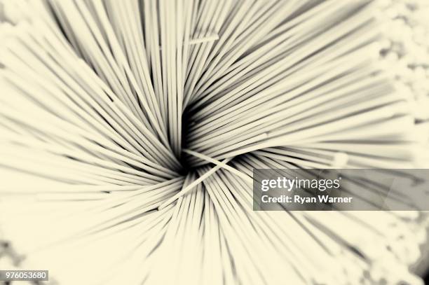 Exploding Pasta 56 Exploding Pasta Stock Photos, High-Res Pictures, and Images - Getty ...