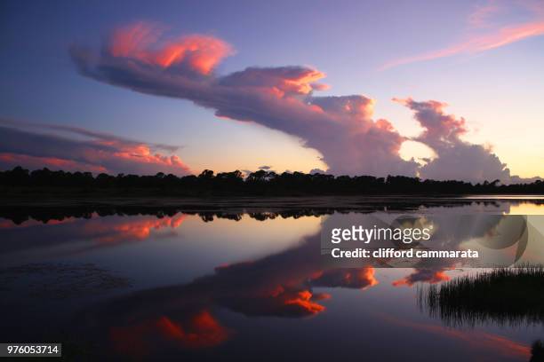 cloud reflection in pond - cammarata stockfoto's en -beelden