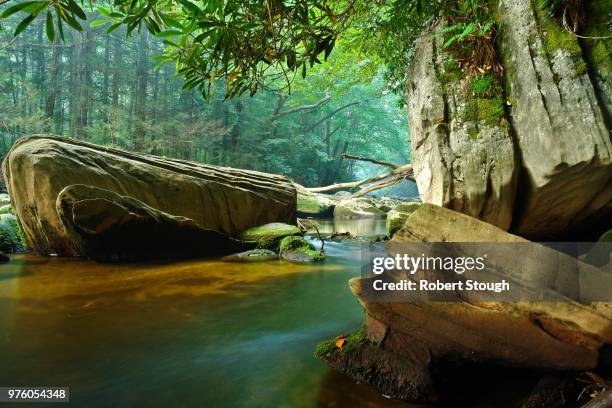 monongahela national forest, west virginia, usa - monongahela national forest stock pictures, royalty-free photos & images