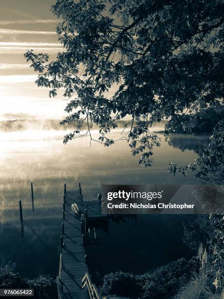 on the river - nicholas christopher stock pictures, royalty-free photos & images