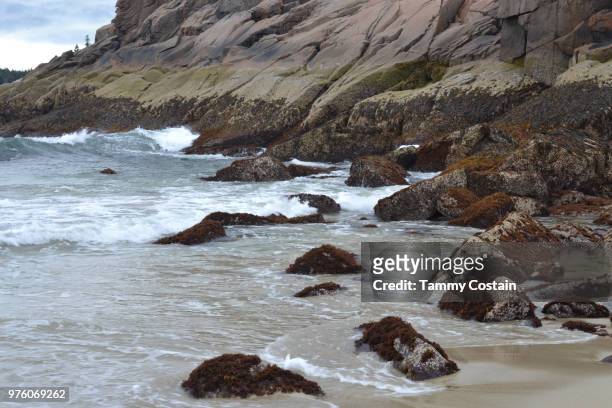 rocks on sandy beach bar harbor, maine - tammy bar stock pictures, royalty-free photos & images