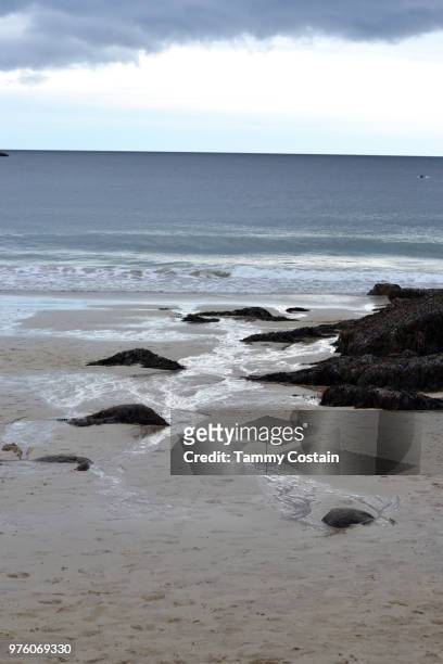 sandy beach, bar harbor, maine - tammy bar stock pictures, royalty-free photos & images