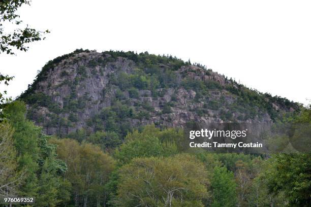 mountain beauty bar haror, maine - tammy bar stock pictures, royalty-free photos & images