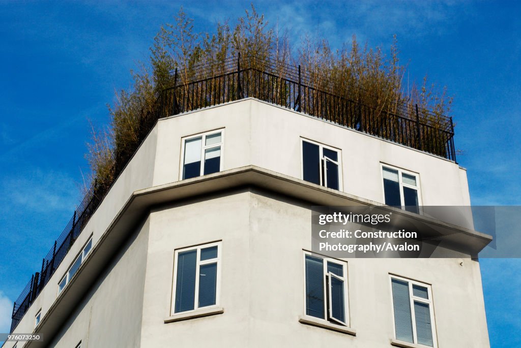 Rooftop garden, Old Street, London, UK