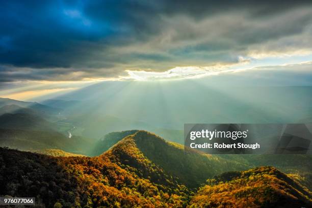 north fork mountain landscape, monongahela national forest, west virginia, usa - monongahela national forest stock-fotos und bilder