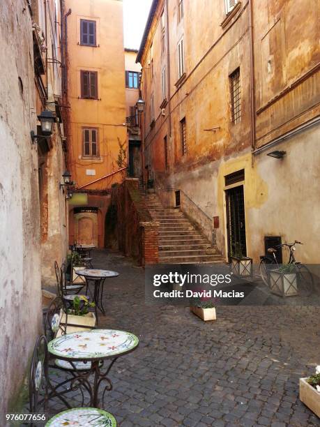 roma - narrow foto e immagini stock