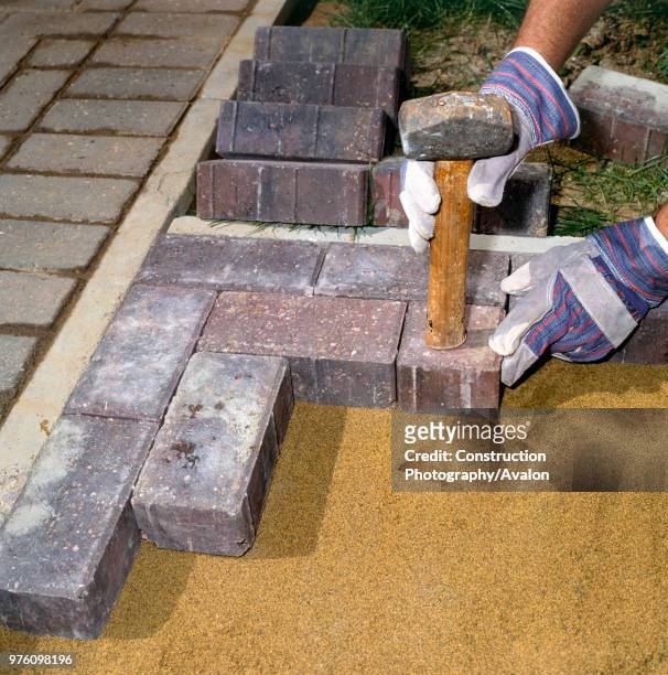 Laying paving stones in a front garden.