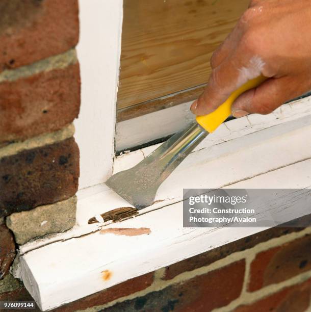 Window Scathing 1,010 Sash Window Stock Photos, High-Res Pictures, and Images - Getty ...
