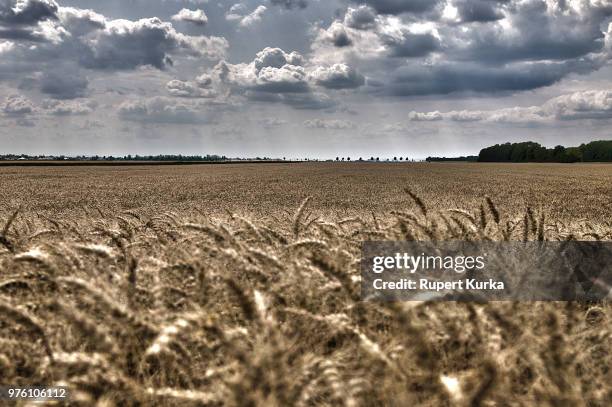 Marchfeld 111 Marchfeld Stock Photos, High-Res Pictures, and Images - Getty Images