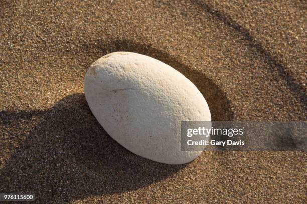 Gary Shell Photos and Premium High Res Pictures - Getty Images