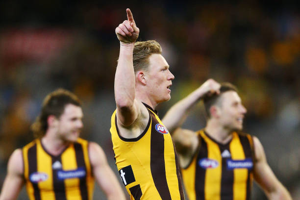 James Sicily of the Hawks celebrates a goal during the round 13 AFL match between the Hawthorn Hawks and the Adelaide Crows at Melbourne Cricket...