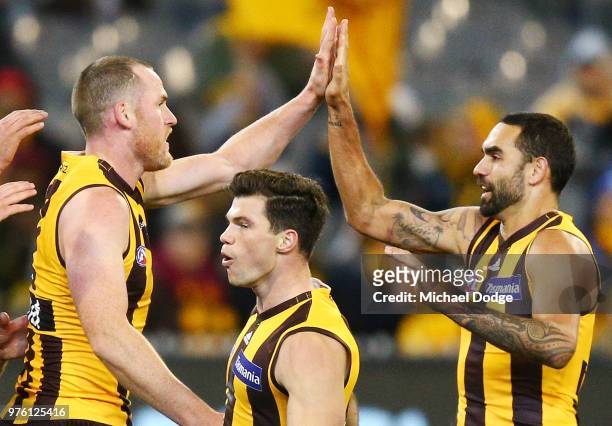 Shaun Burgoyne of the Hawks celebrates a goal with Jarryd Roughead of the Hawks during the round 13 AFL match between the Hawthorn Hawks and the...