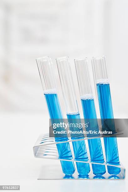 test tubes containing blue liquid - test tube rack stock pictures, royalty-free photos & images