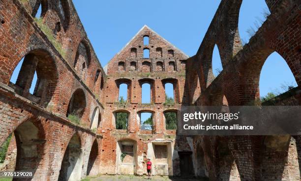 May 2018, Germany, Bad Doberan: View of the ruins of a Cistercian monastery that was founded in 1186. From 04 to 10 June 2018, the 650th anniversary...