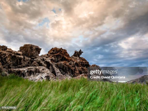 viento - viento stockfoto's en -beelden