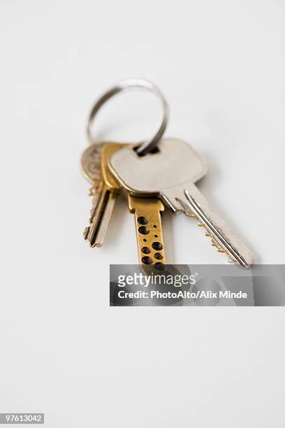 keys on key ring - key ring isolated stockfoto's en -beelden