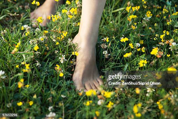 woman walking barefoot in field of wildflowers, cropped - descalzo fotografías e imágenes de stock