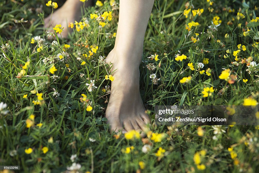 Woman walking barefoot in field of wildflowers, cropped