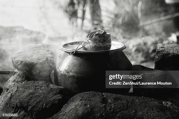 tea being prepared, china - tesil bildbanksfoton och bilder