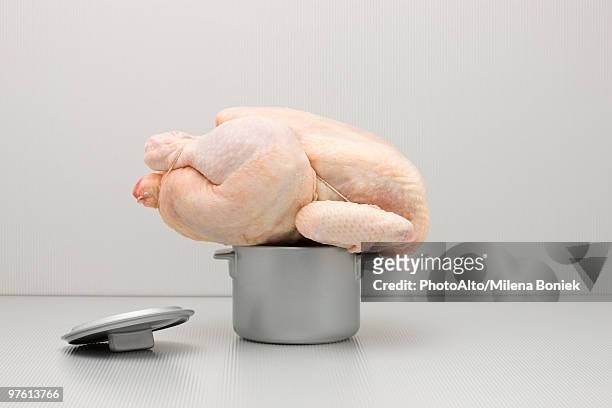 food concept, raw whole chicken on top of miniature roaster - too big stock pictures, royalty-free photos & images