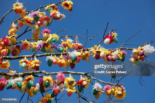 osterbaum - osterbaum stock pictures, royalty-free photos & images