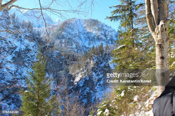 hohenschwangau - konst stock pictures, royalty-free photos & images