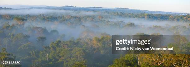 panorama view amazone - veenendaal stock pictures, royalty-free photos & images