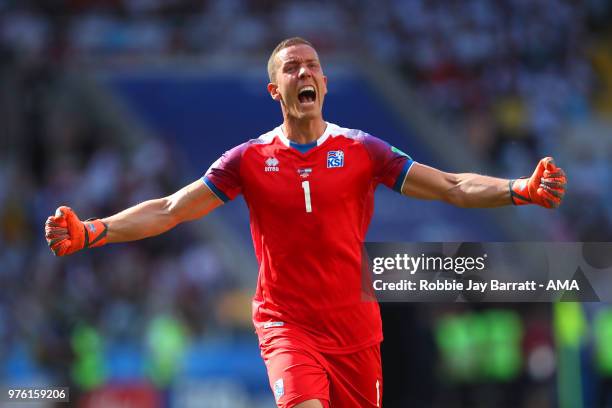 Hannes Halldorsson of Iceland celebrates after team-mate Alfred Finnbogason scored to make it 1-1 during the 2018 FIFA World Cup Russia group D match...