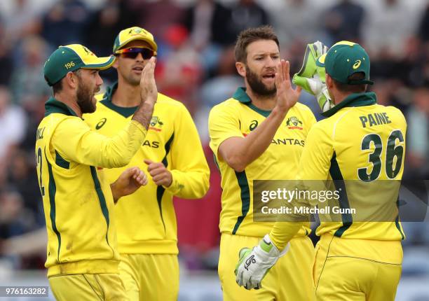 Andrew Tye and Tim Paine of Australia celebrate the wicket of Jason Roy of England during the 2nd Royal London One day International match between...