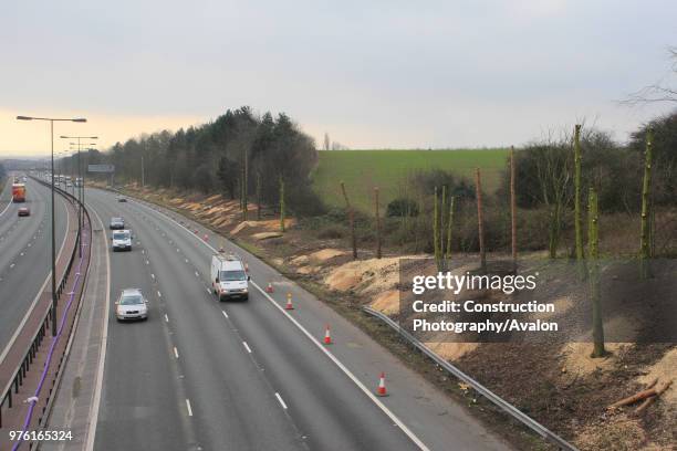 Stripped tree trunks during M1 widening programme between junctions 25 and 28, Nottinghamshire, UK.