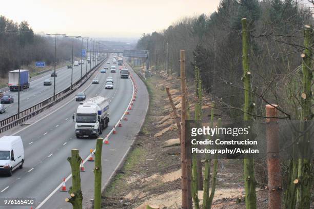 Stripped tree trunks during M1 widening programme between junctions 25 and 28, Nottinghamshire, UK.