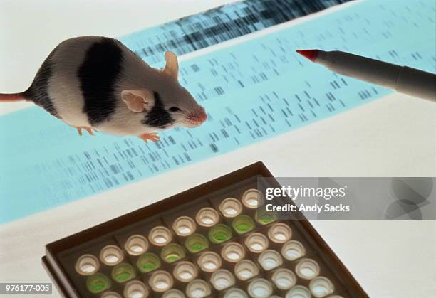 dna sequence and mouse on lightbox in laboratory - topo foto e immagini stock