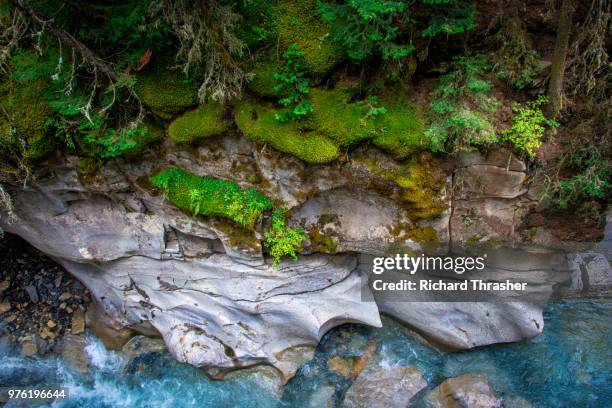 mossy glacier flow - thrasher stock pictures, royalty-free photos & images