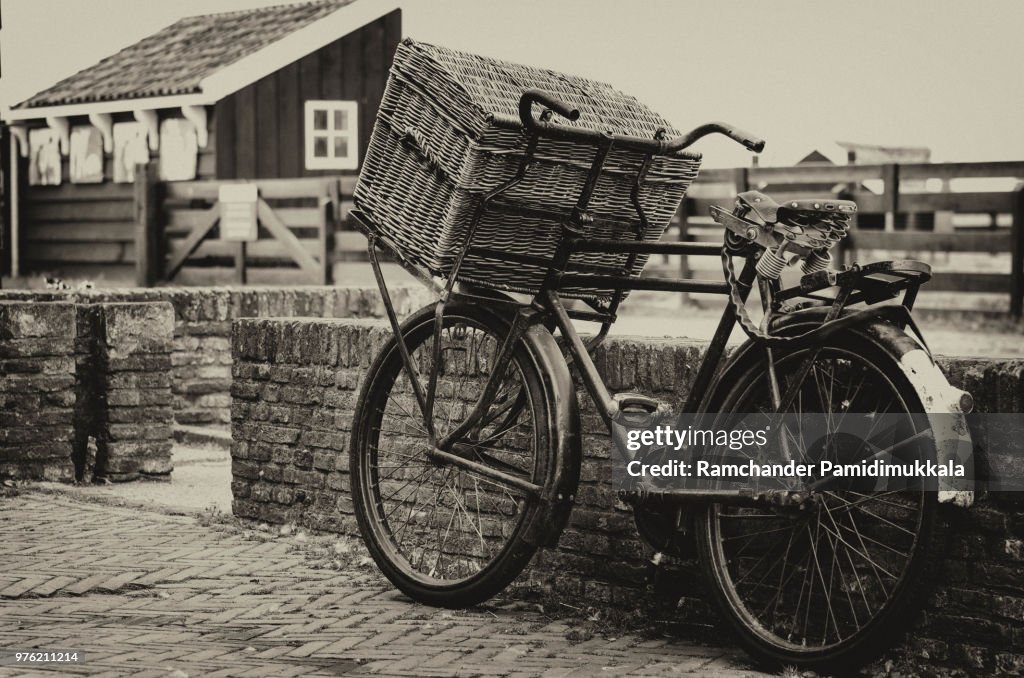 Bicycle Ride