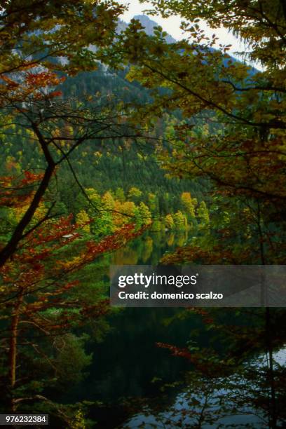 autumn on the lake - scalzo photos et images de collection