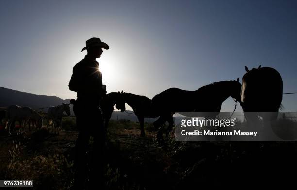 Guests looks over the horses during the cattle drive on June 12, 2018 in Reno, Nevada. The Reno Rodeo Cattle Drive celebrates the rich legacy of the...