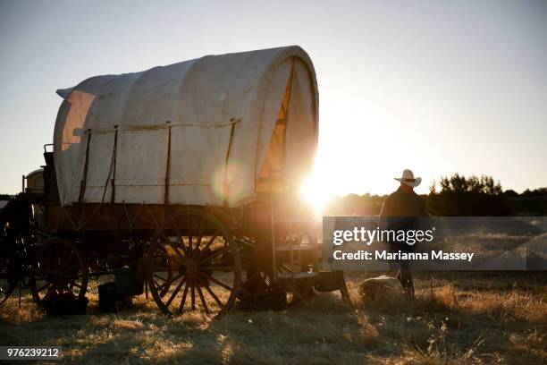 Wranglers prepare to head out in the 1800's style horse-drawn wagons that help haul gear along the cattle drive on June 12, 2018 in Reno, Nevada. The...