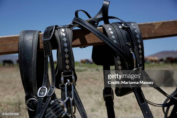 Horses bridle is hung on a fence on day one of the cattle drive on June 13, 2018 in Reno, Nevada. The Reno Rodeo Cattle Drive celebrates the rich...