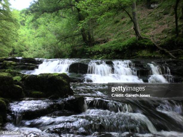 glyn-neath waterfalls - neath imagens e fotografias de stock